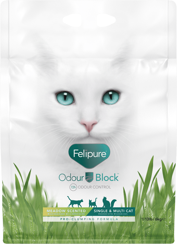 felipure single scented